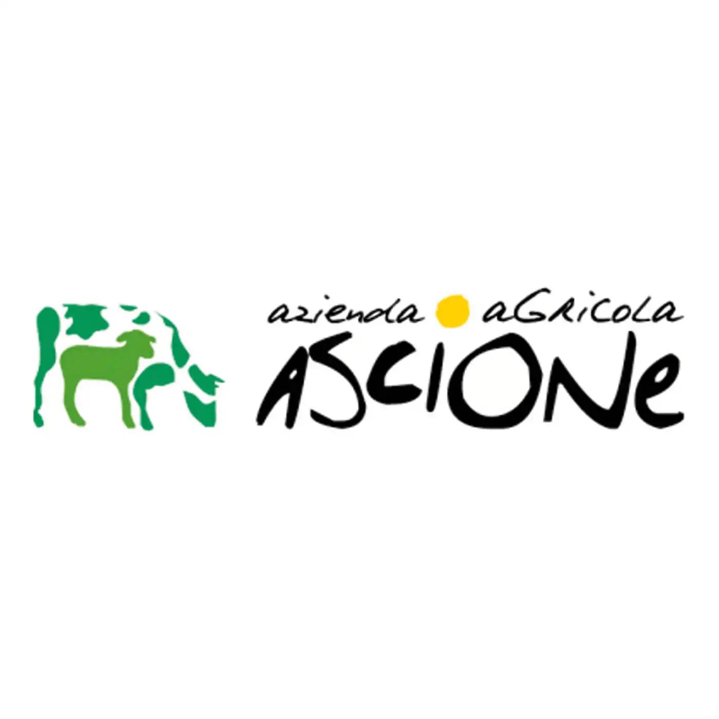 ovinnova_partner05_logo_ascione