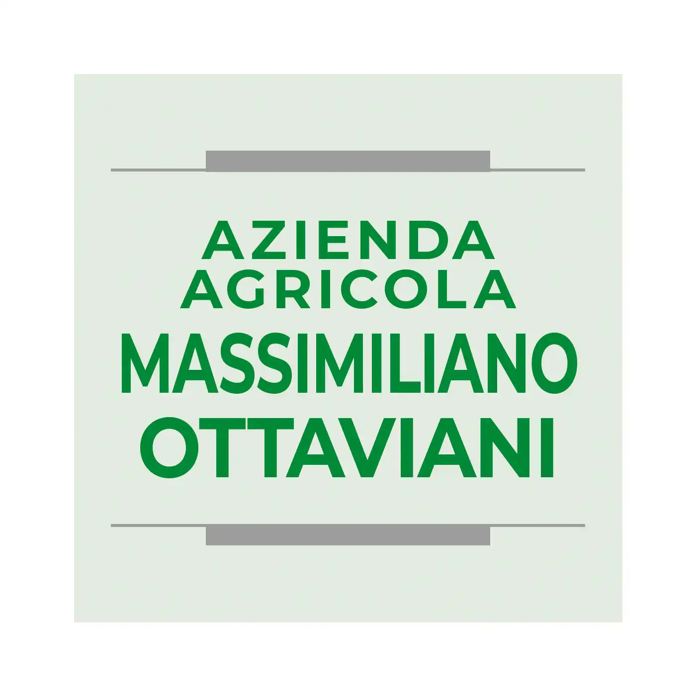 ovinnova_partner07_logo_ottaviani