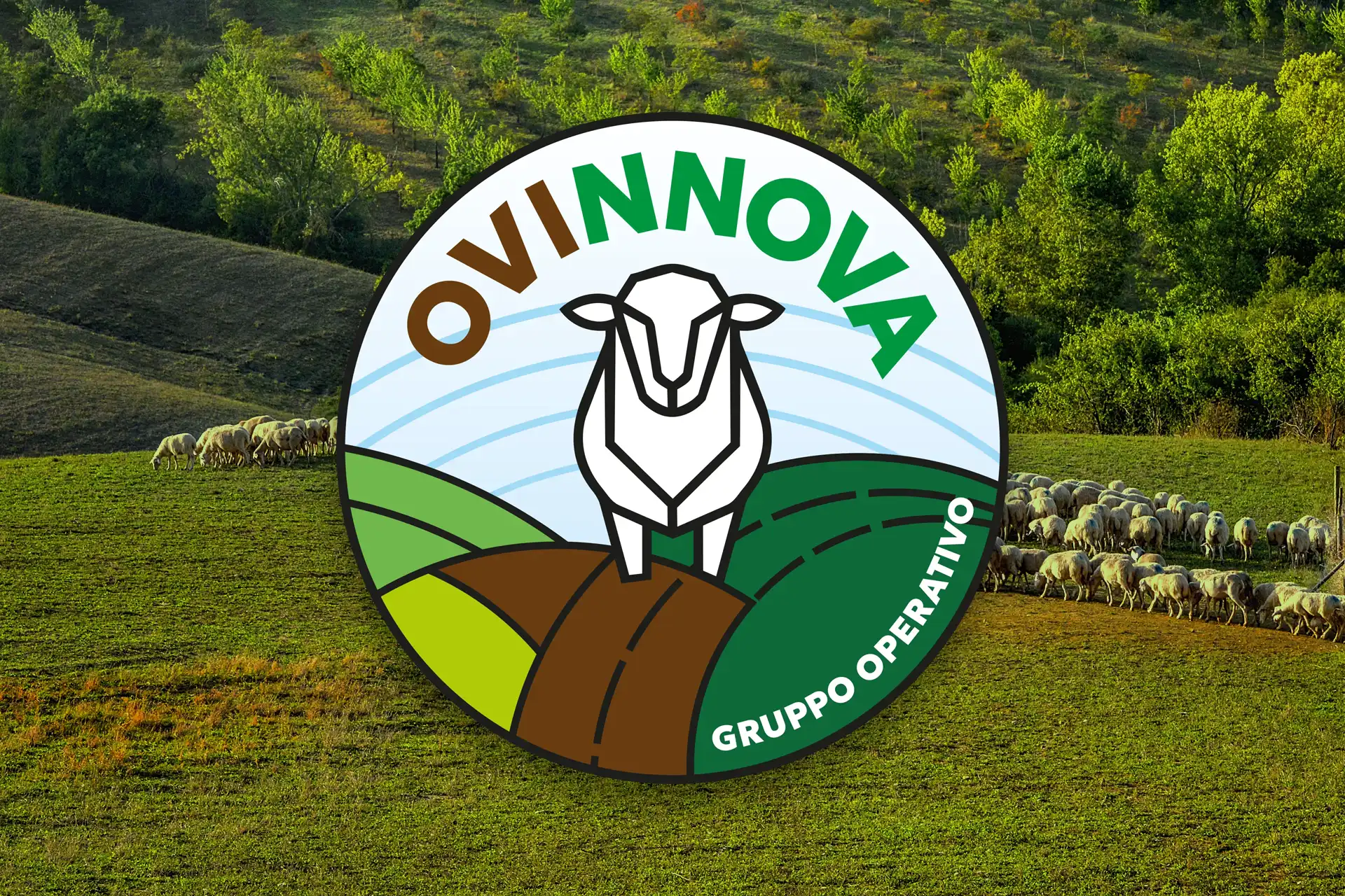 VIDEO / La registrazione completa del webinar OVINNOVA, 9 settembre 2026